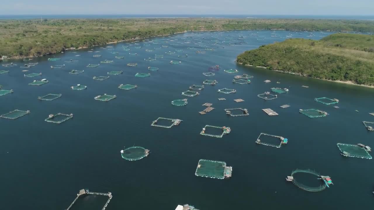 Fish Farms - Stock Video | Motion Array