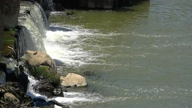 Small Waterfall: Stock Video