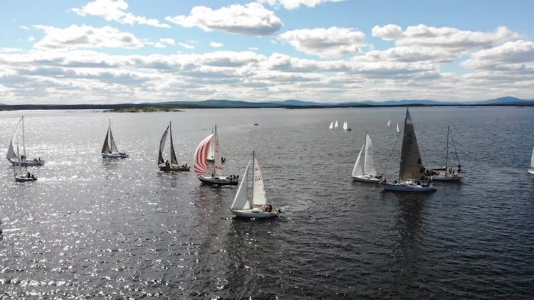 Sailboats Racing: Stock Video