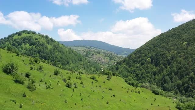 Countryside Landscape: Stock Video