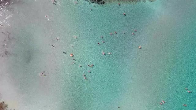 People Swimming: Stock Video