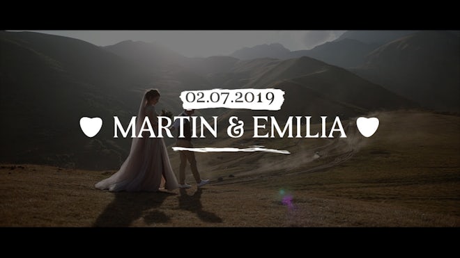 Brush Drawn Wedding Titles 4K Freebies template preview