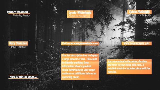 Clean Lower Thirds Freebies template preview