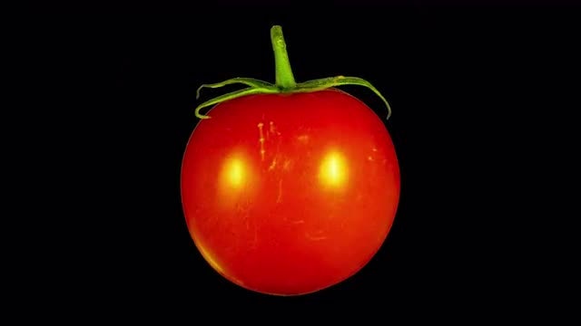 Isolated Tomato Rotating: Stock Video