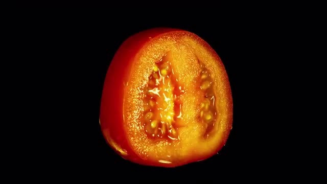 Isolated Tomato Slice: Stock Video