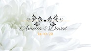 8 Flower Wedding Titles Premiere Pro Templates Motion Array