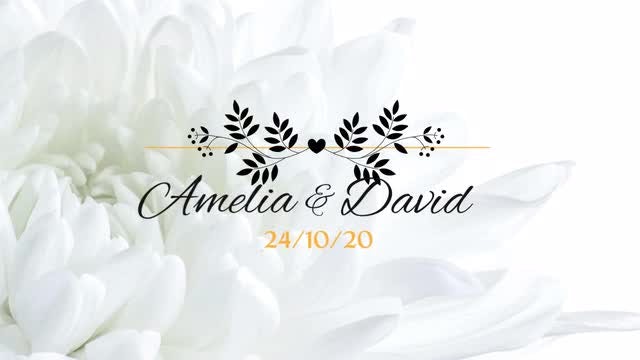 8 Flower Wedding Titles: Premiere Pro Templates