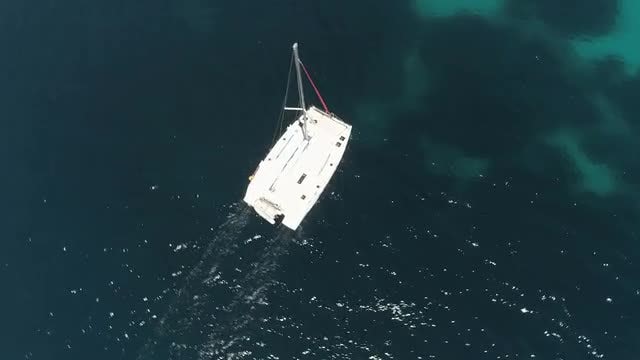 Catamaran Sailing: Stock Video