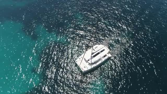 Catamaran On The Sea: Stock Video