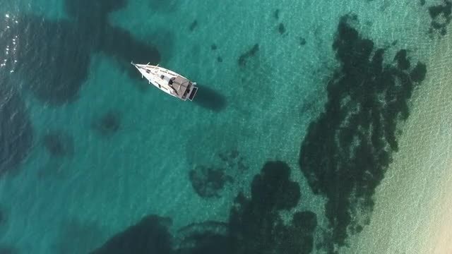 Boat On Tropical Sea: Stock Video