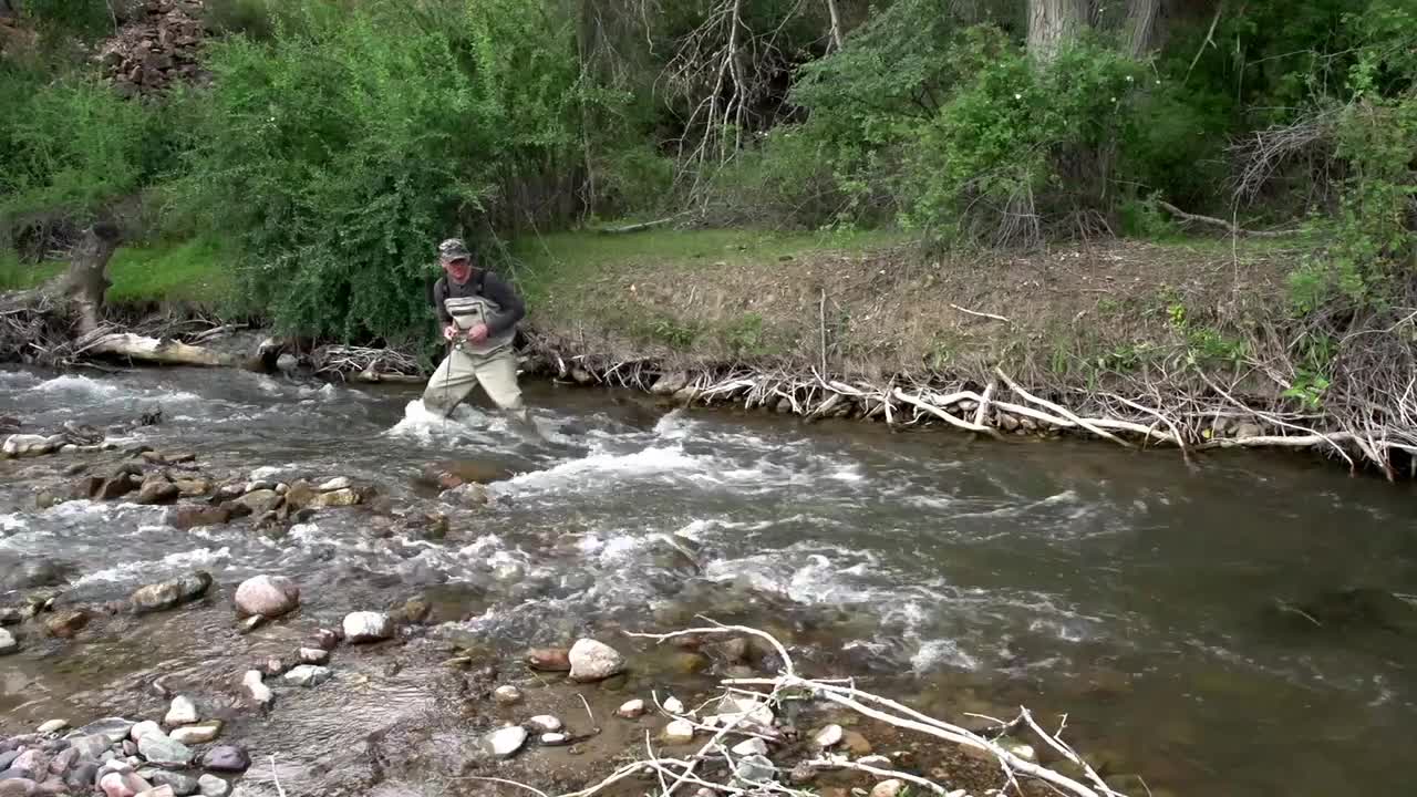 Fishing In A Stream Stock Video Motion Array