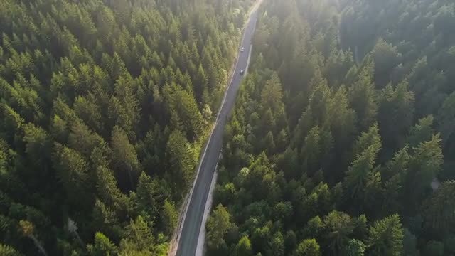 Motorcycle On A Road: Stock Video