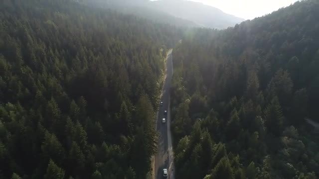 Driving Car Aerial: Stock Video