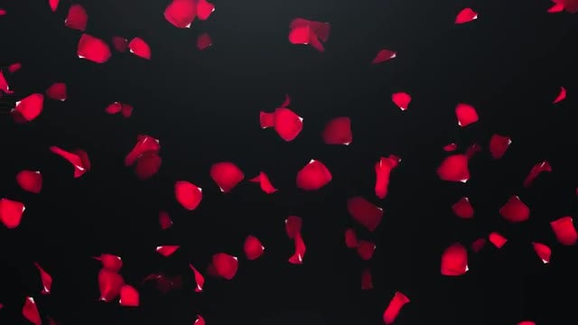 Fyling Petals: Stock Motion Graphics