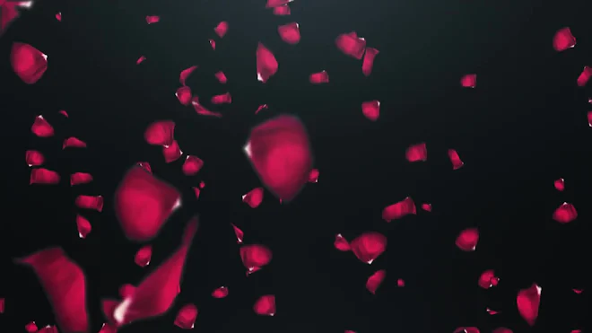 Falling Rose Petals Animation