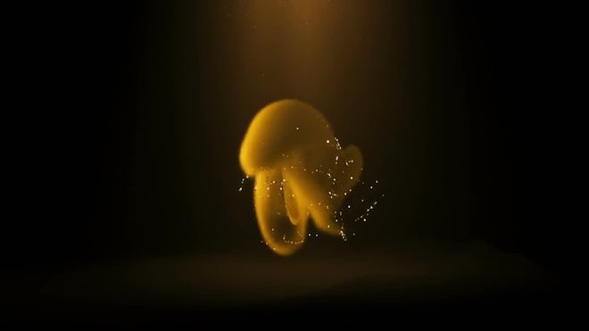 Magical Smoke Reveal Freebies template preview