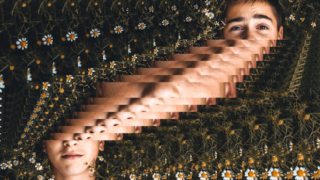 Simple Transitions Freebies template preview