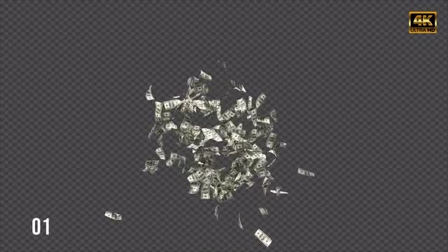 Dollar Bills: Stock Motion Graphics
