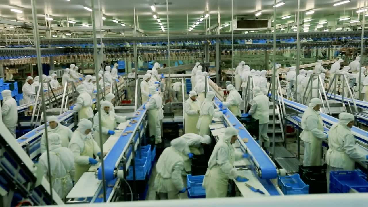 Chicken Processing Plant at ₹ 600000 | Chicken Processing Plant in Pune ...