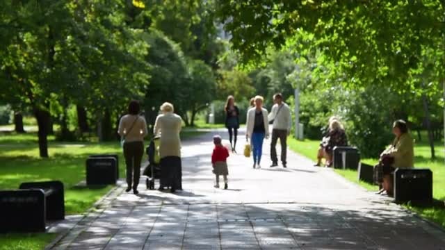 People In A Park: Stock Video