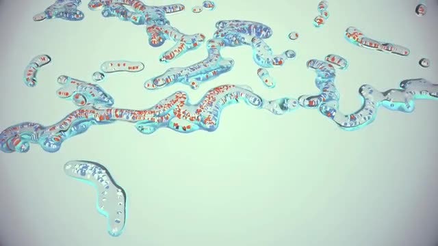 Bacterium Pack: Stock Motion Graphics
