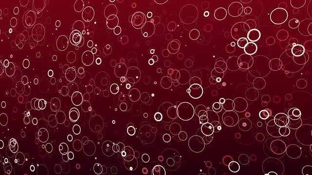 Abstract Circles Background Pack: Stock Motion Graphics