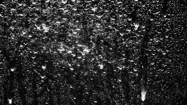 Raindrops: Stock Video