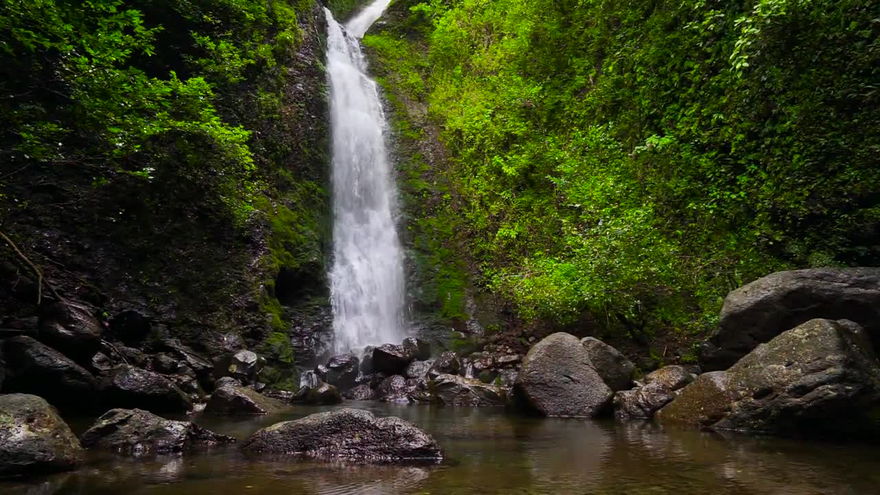 Rainforest Waterfall Stock Video Motion Array