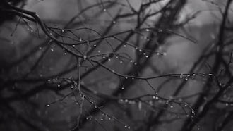 Snow And Rain: Stock Video