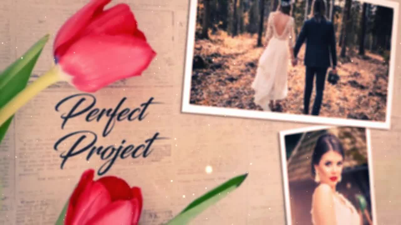 free adobe after effects wedding templates