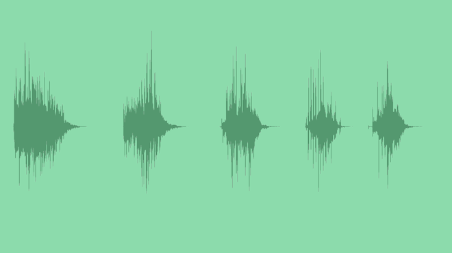 Magical Night Birds Singing: Sound Effects