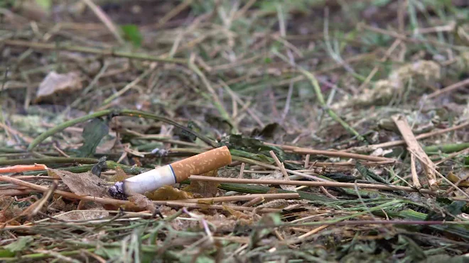 tobacco grass Cigarette Lit Grass Fire by vital9c - Stock Video tobacco grass Cigarette Lit Grass Fire by vital9c - Stock Video