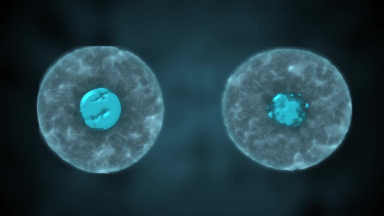 Mitosis - Stock Motion Graphics | Motion Array