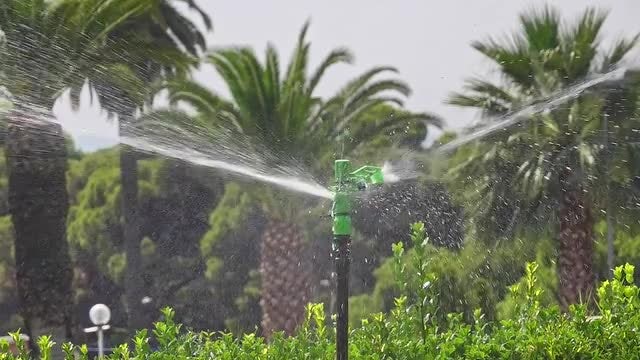 Sprinkler: Stock Video