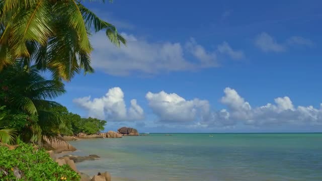 Paradise: Stock Video