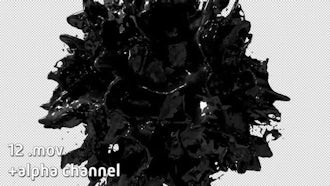 Paint Explosion Pack: Motion Graphics