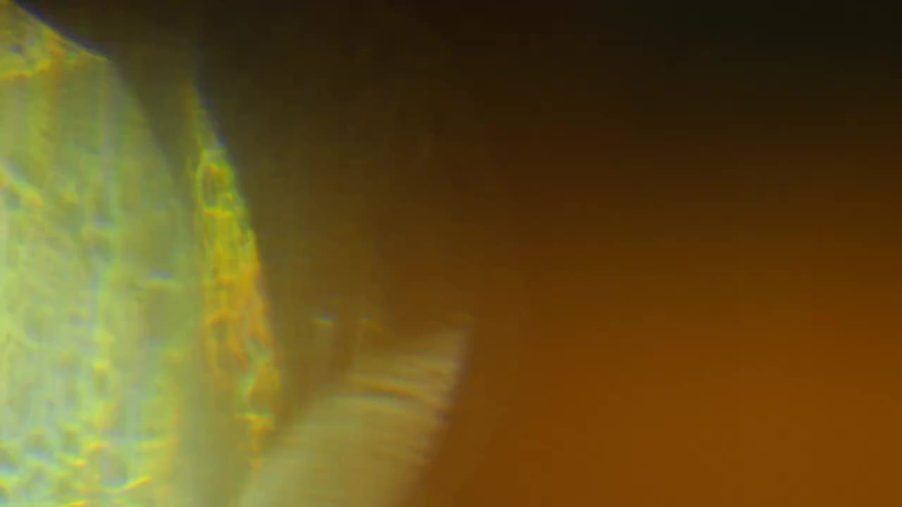 Light Leak Overlay Stock Video Motion Array