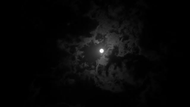 Cloudy Moonlit Night: Stock Video