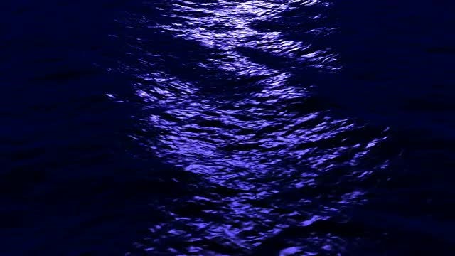 Sea At Night: Stock Motion Graphics