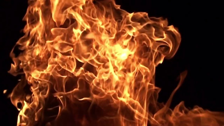 Fire: Stock Video