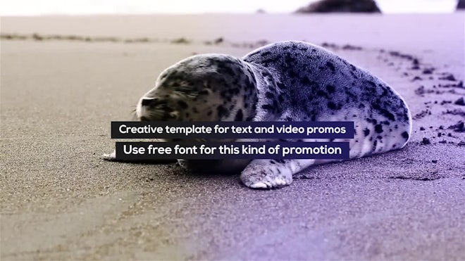 Stomp Typo Promo Freebies template preview
