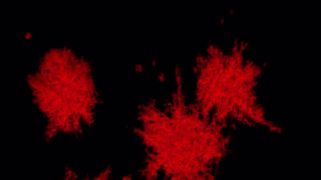 Red Paint: Stock Video
