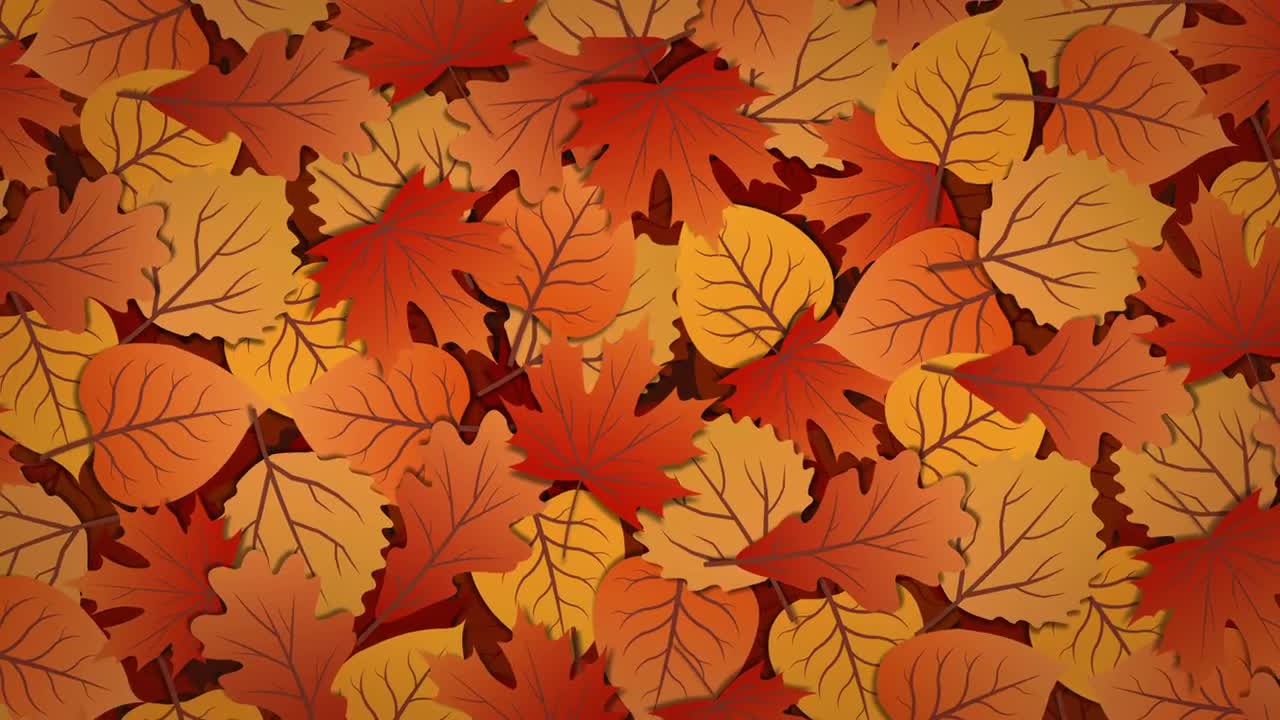 Autumn Leaves Background Stock Motion Graphics Motion Array