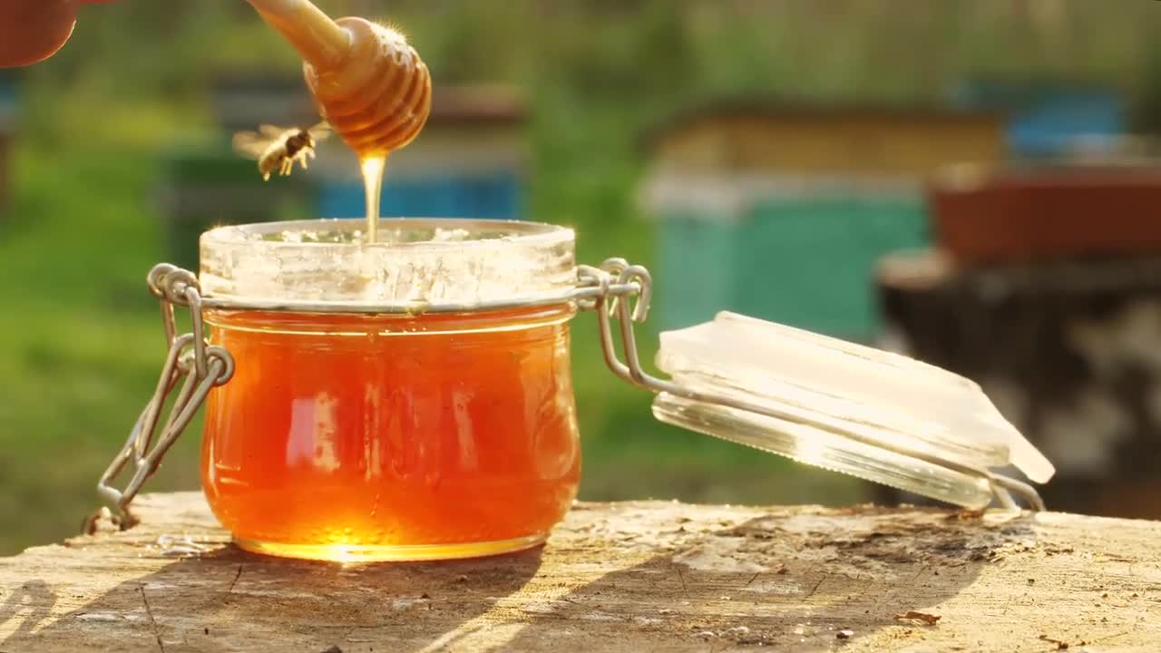 Fresh Honey Stock Video Motion Array