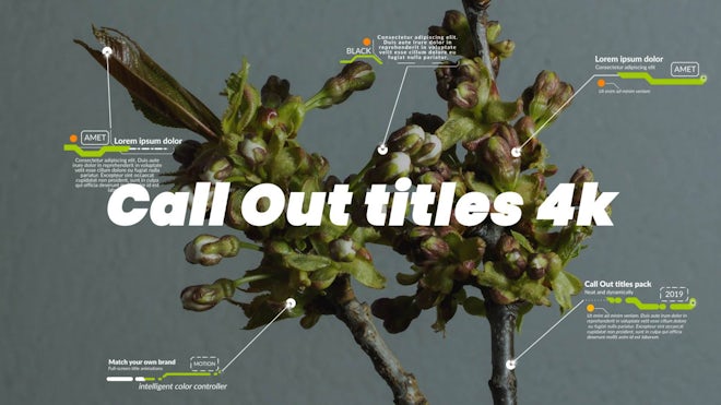 Call Out Titles 4k Freebies template preview