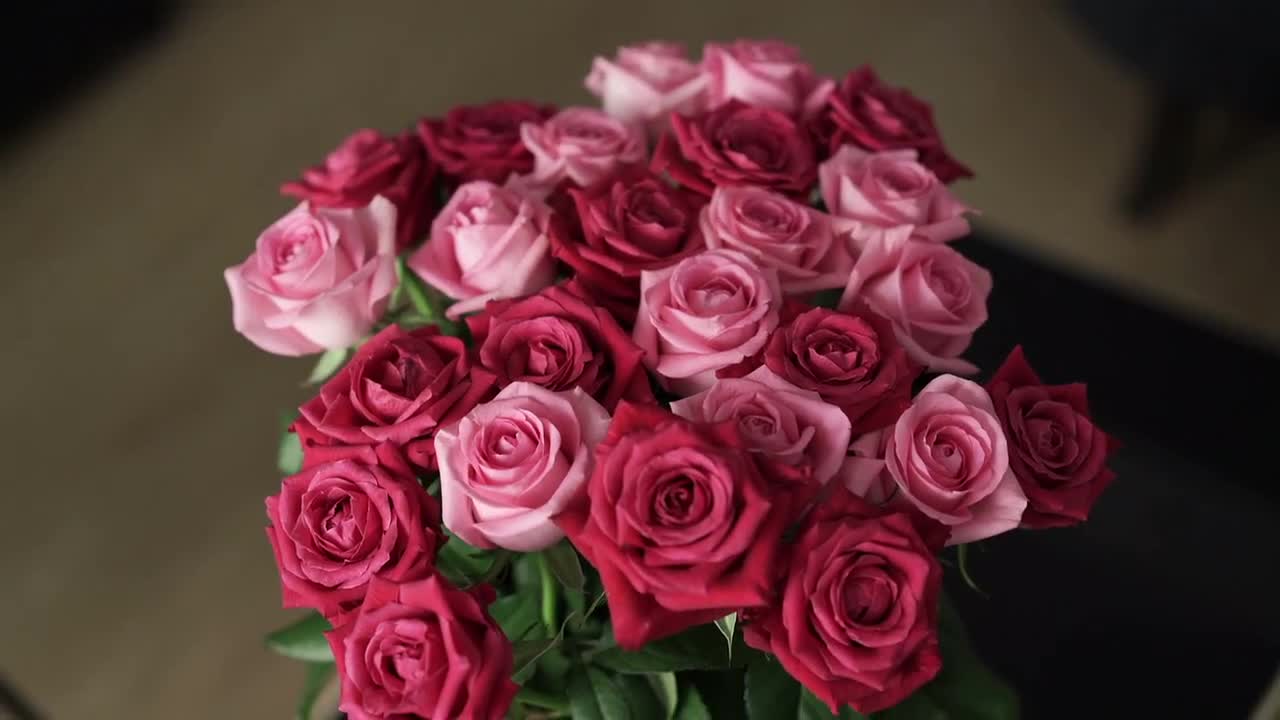 Pink And Red Roses - Stock Video | Motion Array