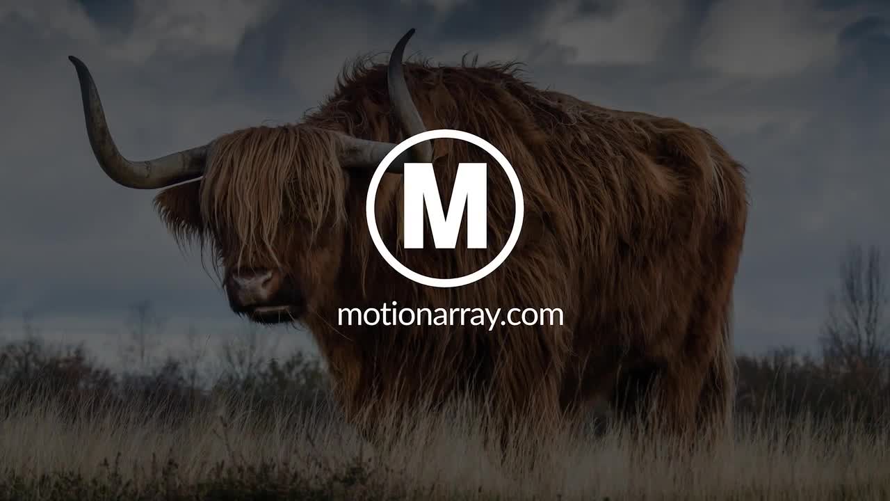 20 Transitions Free After Effects Templates Motion Array