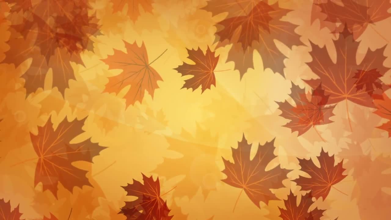 Falling Autumn Leaves Stock Motion Graphics Motion Array