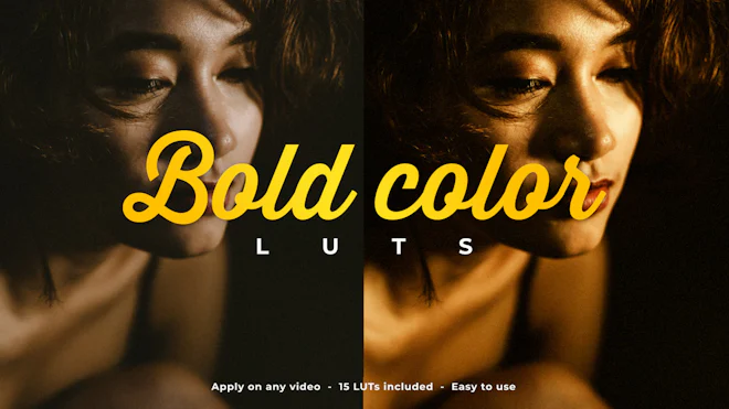 Best Creative LUTs for your projects | Motion Array