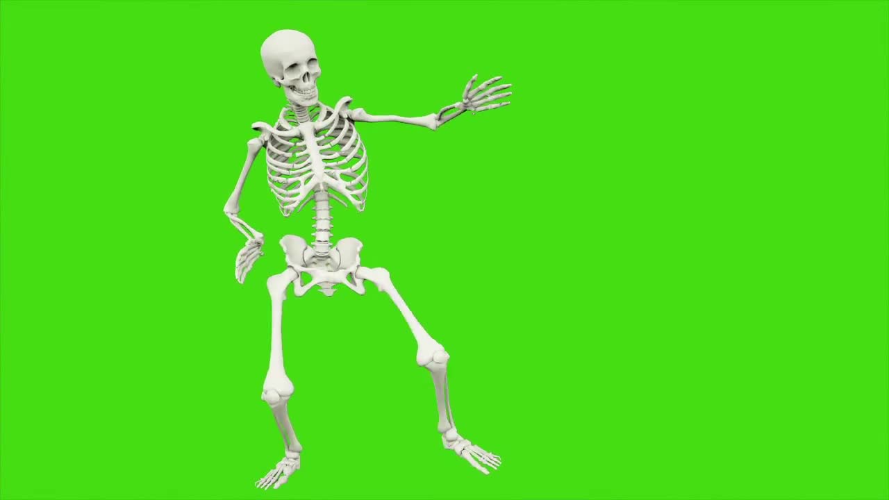 Dancing Skeleton Stock Motion Graphics Motion Array - animated dancing skeleton roblox